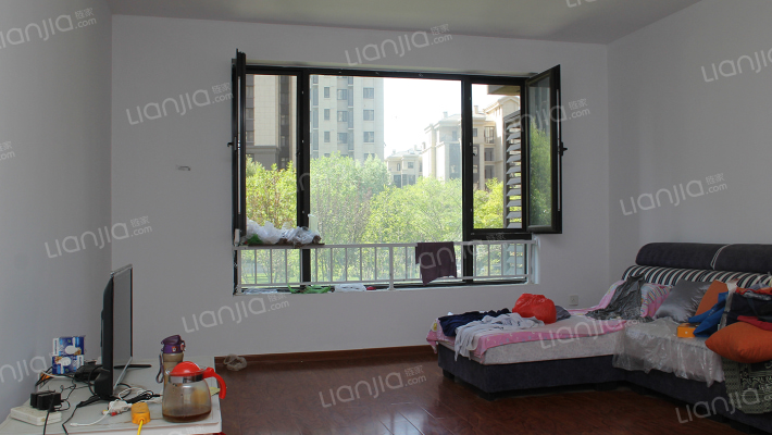 【商圈主推】鸿坤捡漏房 一级社区 南北大H 有装修-客厅