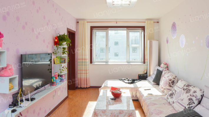 宏远裕隆  两居室  精装修  业主诚意出售-客厅