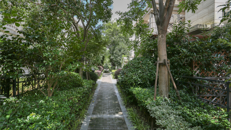 整租·上海庄园三期 3室2厅 南