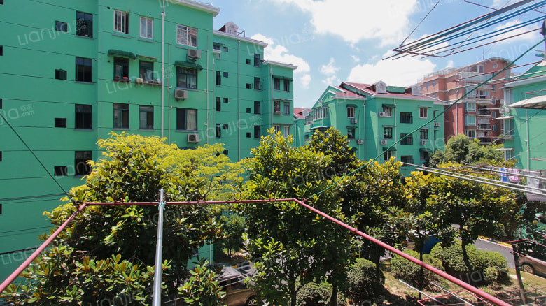 曹杨五村(杏梅园) 1室1厅 8000元