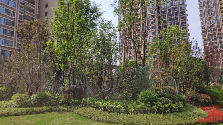 复地御香山3悦 2室2厅 3000元