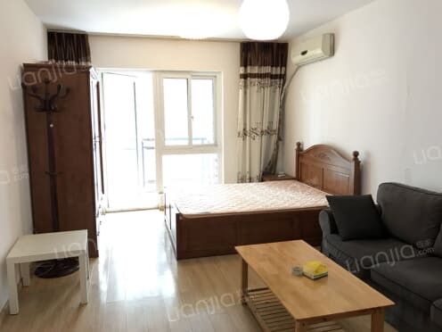 整租·鑫苑名家一期 1室0厅 南