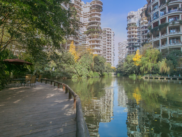 天鵝湖花園優質精裝房,高樓層朝南採光視野好.