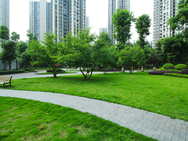 清水2房 免税 临近巴国城商圈 名校指标 价格可谈_重庆双山晋愉盛世