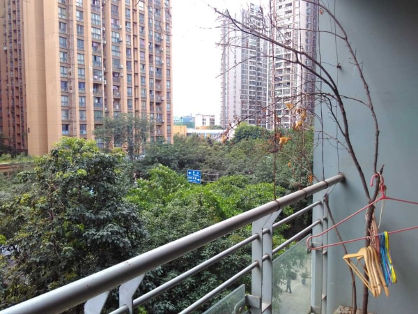 香木林新城 2室2厅 2300元