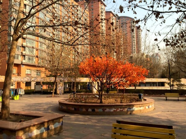 风林绿洲 交通便利 精装 带车位