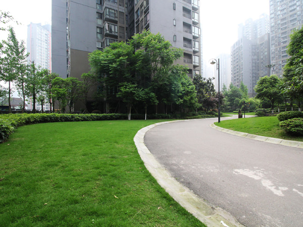 巴国城精装三房两卫 中间楼层 视野宽广 拎包入住_重庆双山中交丽景