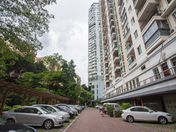 凤凰名都 高层看湖 朝南无遮挡 稳定出售