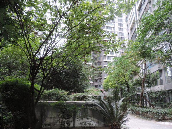 中铁西子香荷 2室2厅 105万