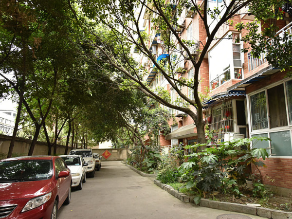 单价低 客厅带落地窗 紧邻浣花溪_成都双楠新景观一期二手房推荐(成都