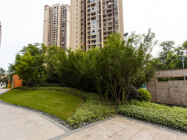 巴南 佳兆业广场 平层 朝南 单价低 急售