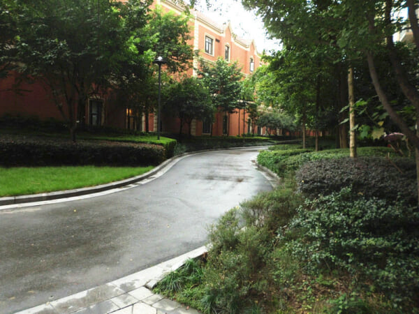 紫荆神仙树上海花园温馨舒适性价比超高的优质好房