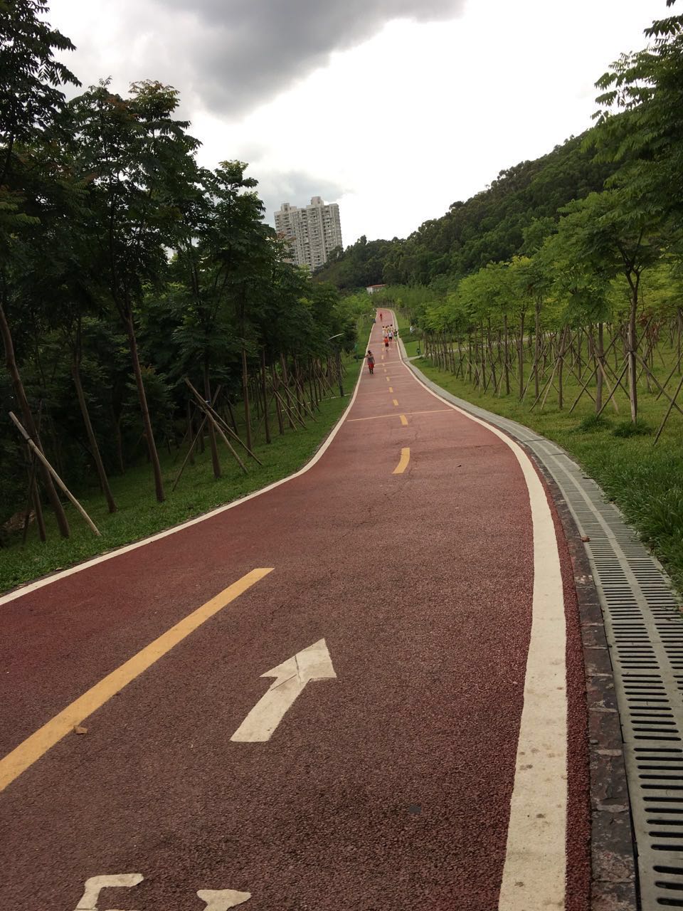 這是翠湖公園綠道,可以跑步健身,直達淘金山.