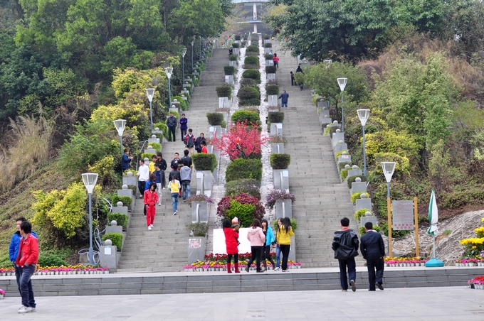 新安市場附近:西鄉天虹,大益廣場沃爾瑪,金港華庭沃爾瑪,碧海灣公園