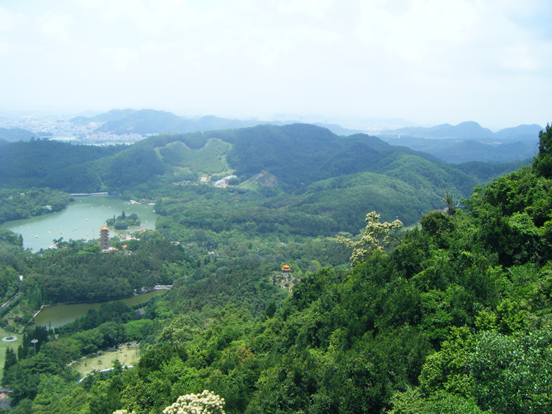 莲塘花园小区附近有哪些地标?(深圳链家网)