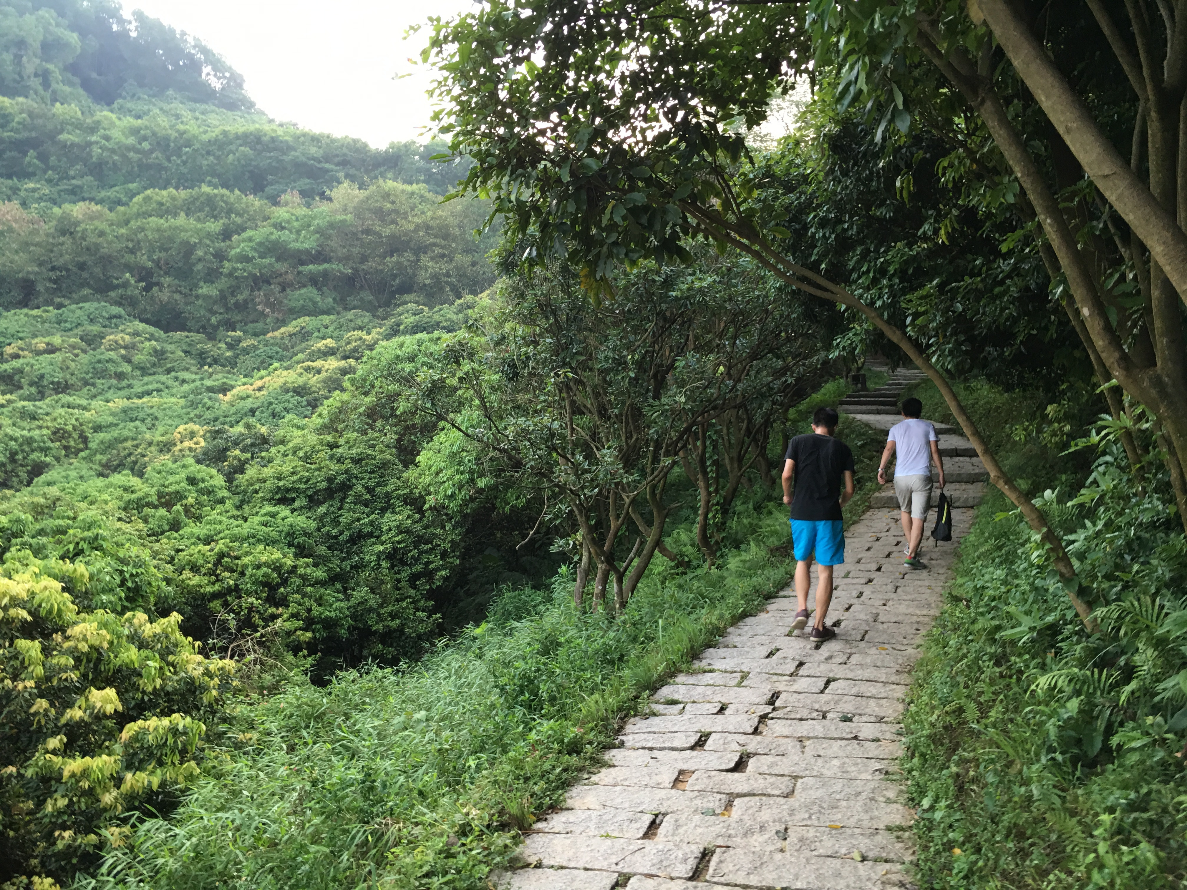  塘朗山公園