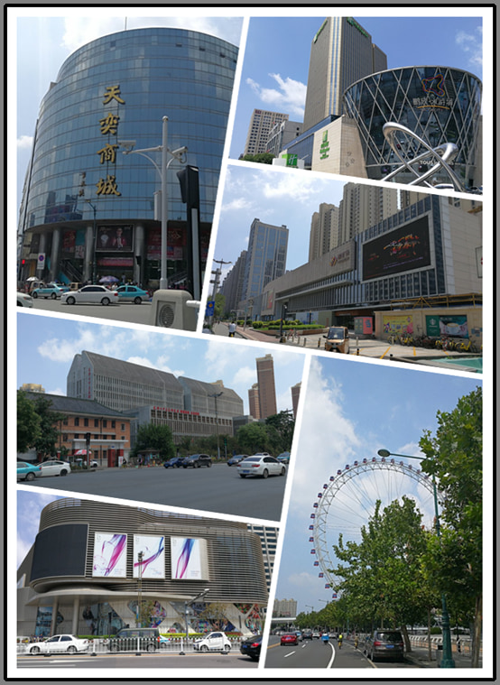 文化景点:天子津渡遗址公园 ,天津之眼医院:天津市中医药研究院附属