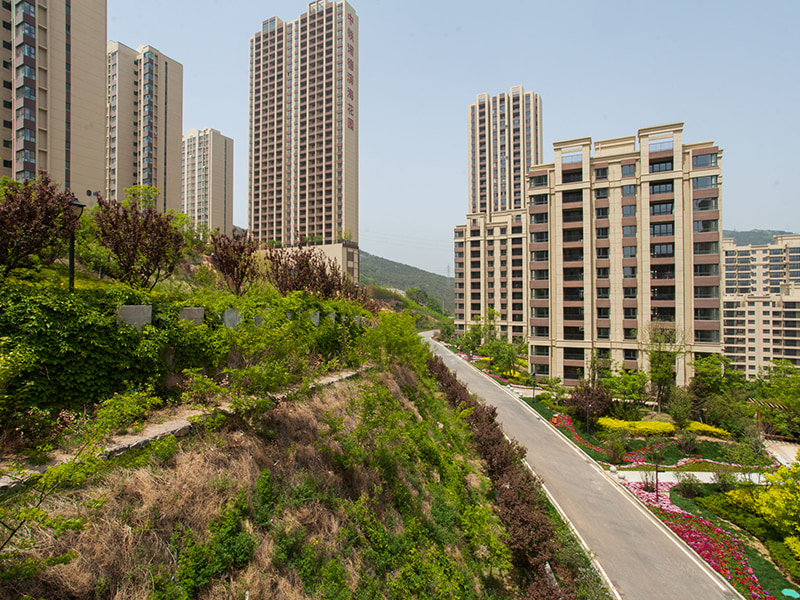 6月首周二手成交再降789金州开发区占比增幅显著