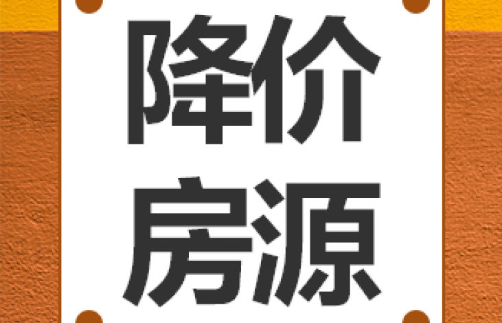 我忍不住偷窥了经纪人整理的降价房源