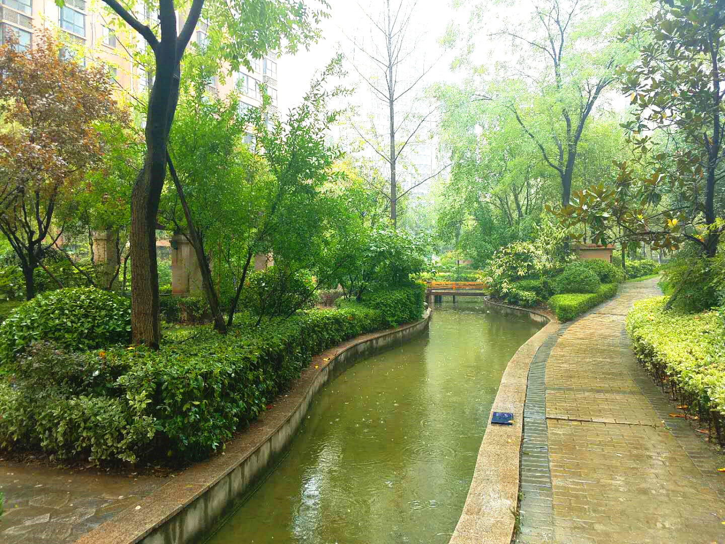 小区内部人工湖