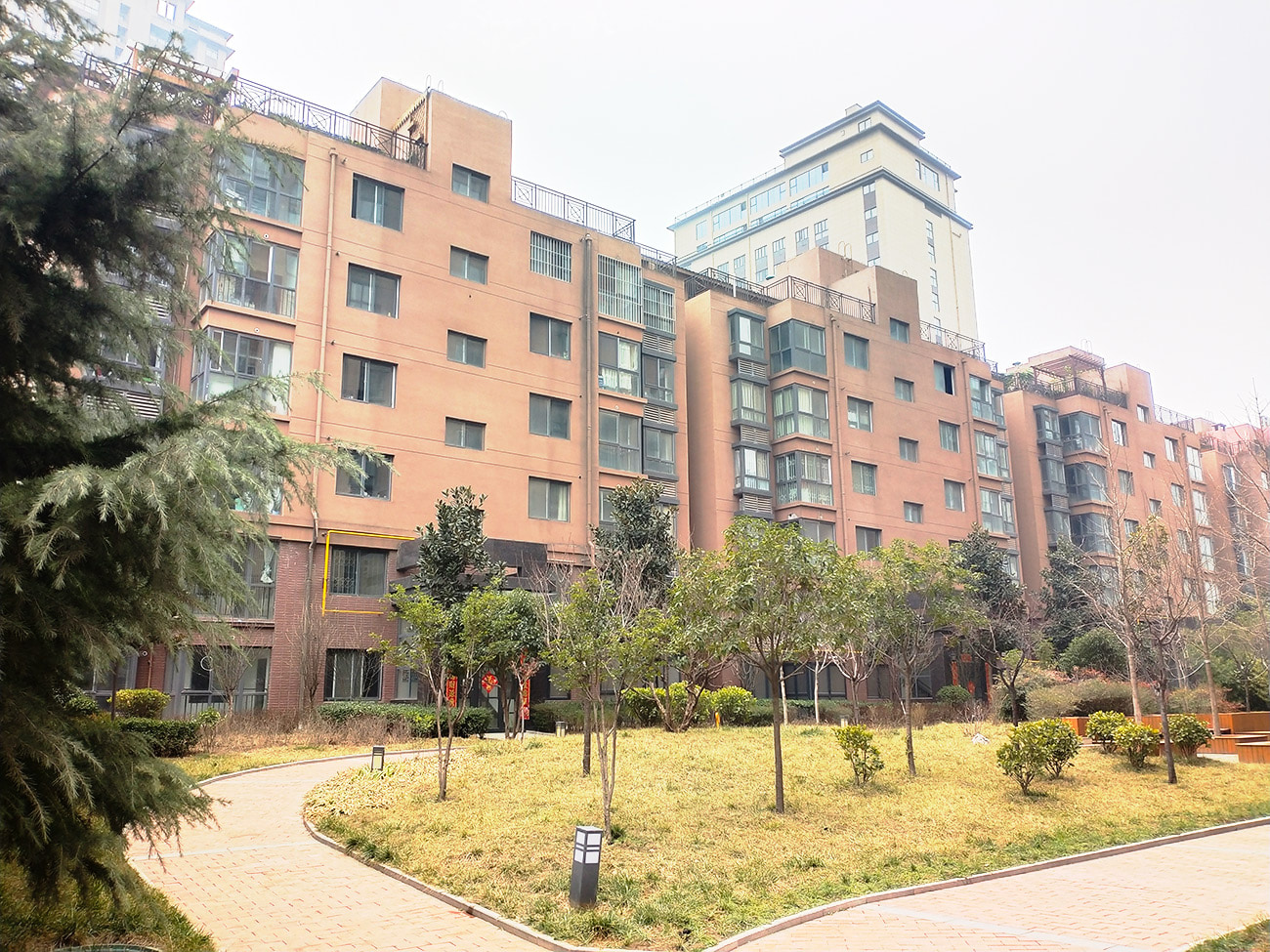 小区内小高层及内部草坪,景观植物.