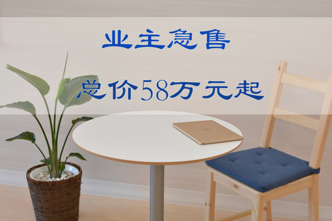 业主急售2-3居,总价58万起