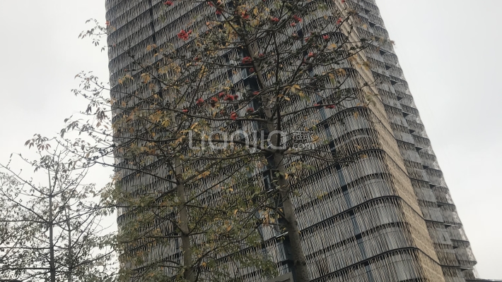 赫基国际大厦外景图