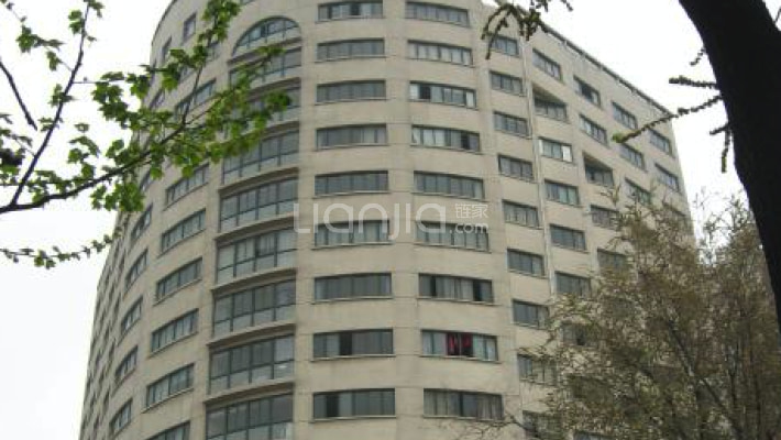 安天大厦外景图