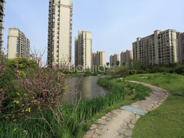 莱顿小城 2室2厅 120平米_上海松江大学城莱顿小城二手房价格-上海