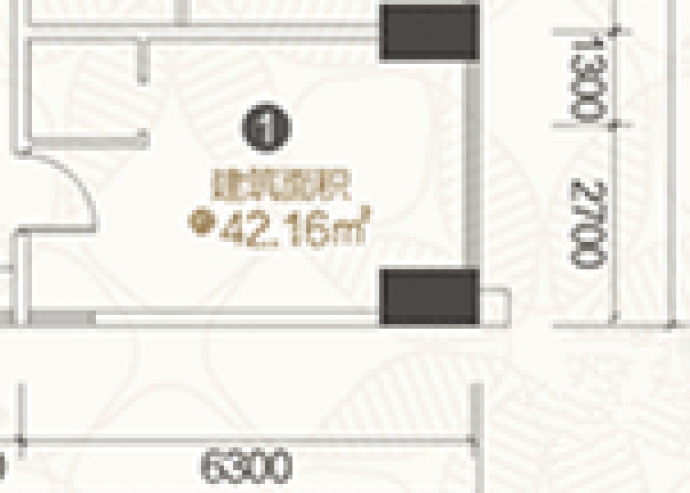 亿德光谷先锋--建面 42.16m²