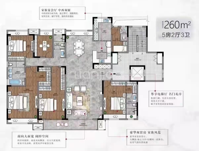 梧桐公馆--建面 260m²