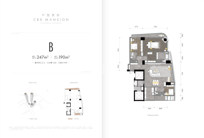 江北嘴壹号院东苑--建面 247m²