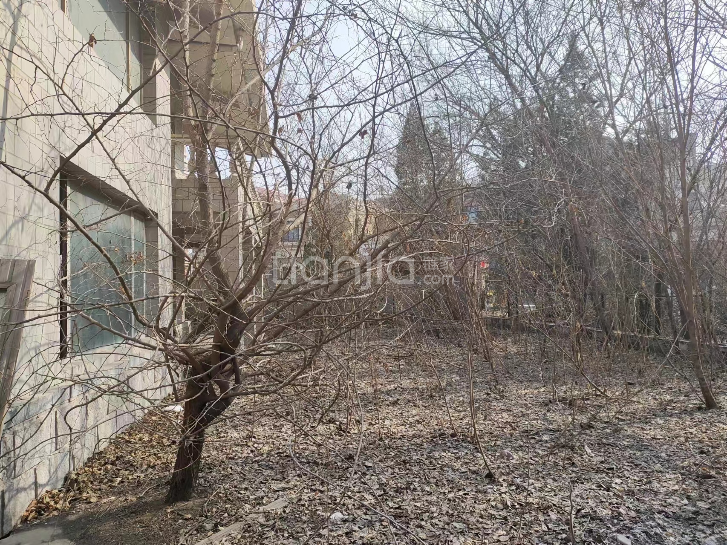 独栋别墅  大院子 环境优美 私家庭院-户型图