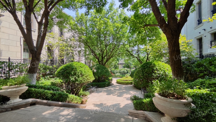 绿城玫瑰园外景图