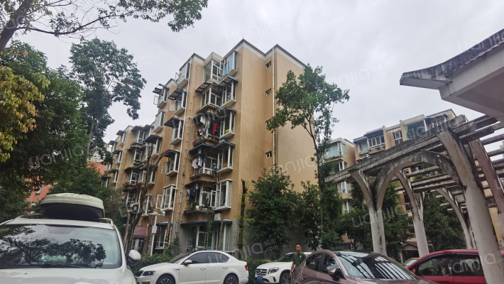 恋日家园A区外景图