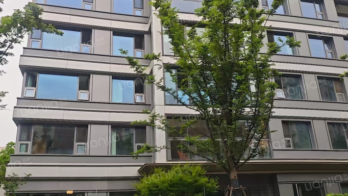 大悦狮山壹号外景图