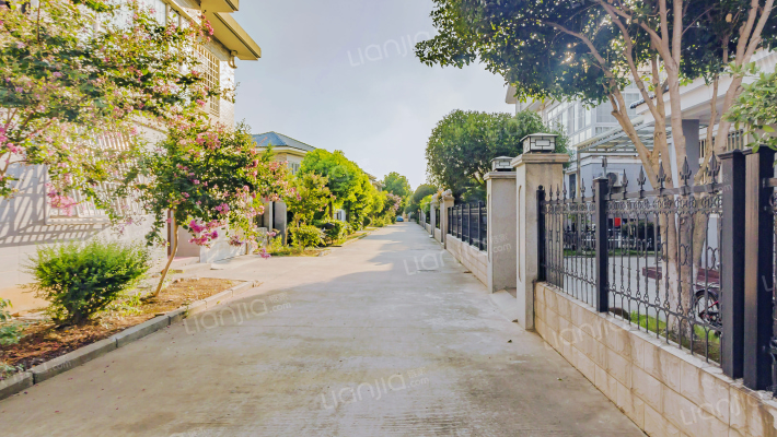 圣地华府外景图