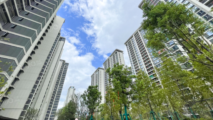 国贸江屿原外景图