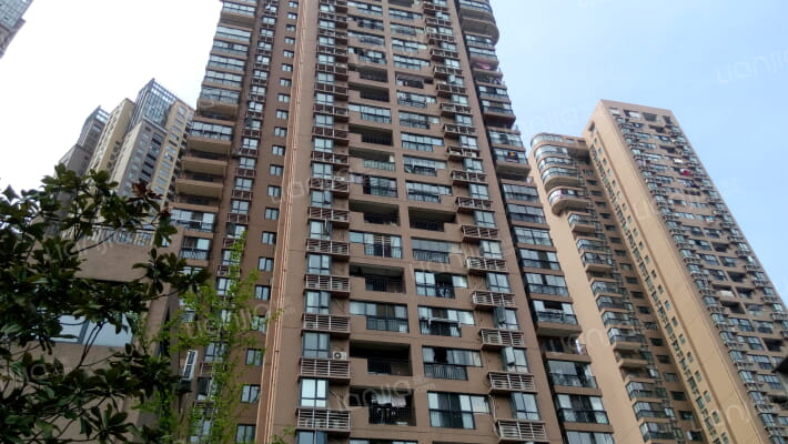 大智嘉园外景图