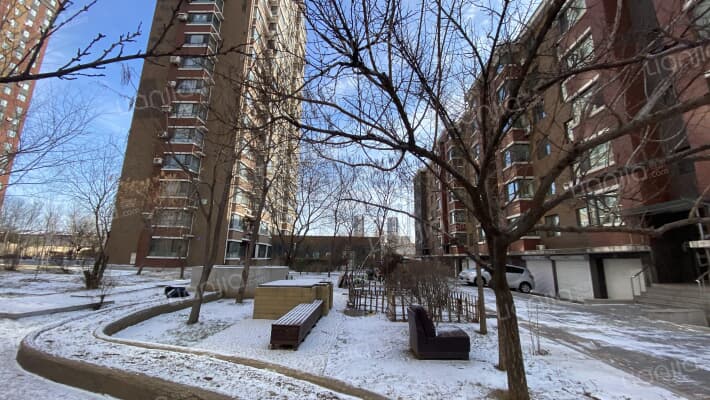 雷凯尼绅外景图