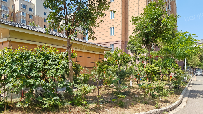 凤凰花园D区外景图