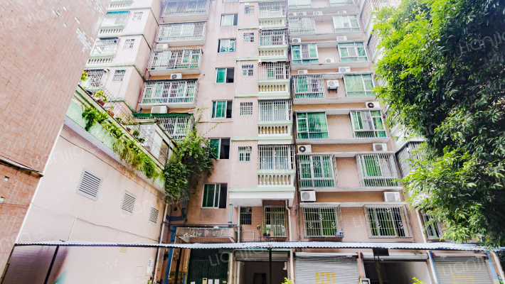 紫光阁花园外景图