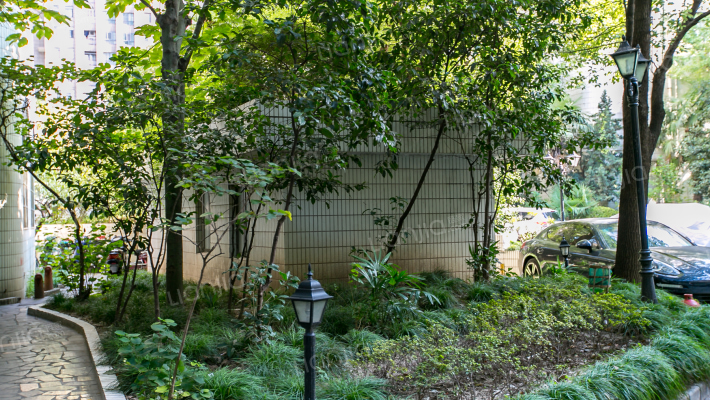 天天花园外景图