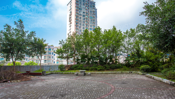 一城龙洲外景图