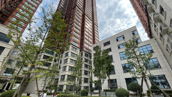 府东壹号外景图