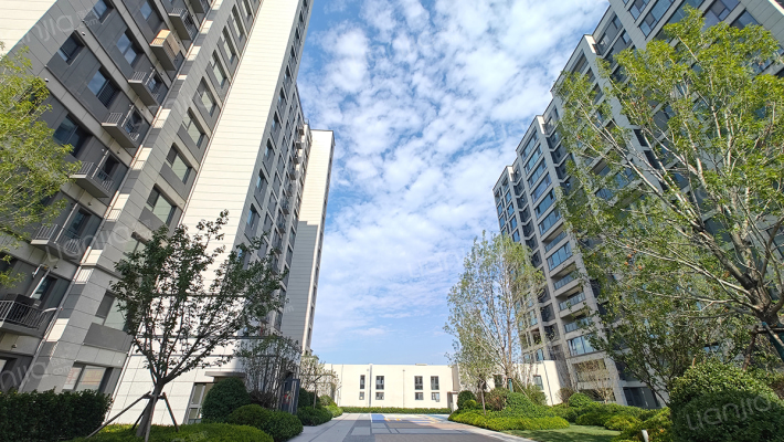 天一仁和珑樾一品外景图