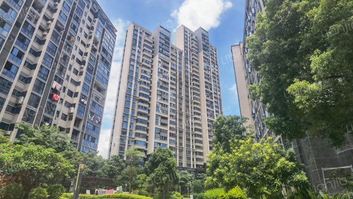 金帝中洲滨海城二期外景图