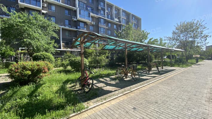 中央大学城外景图