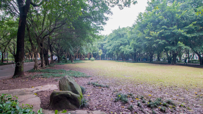 党校住宅小区外景图