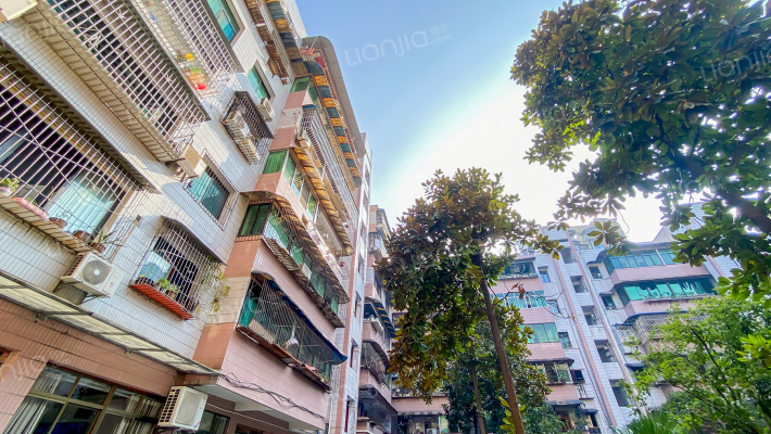 农行家属院外景图